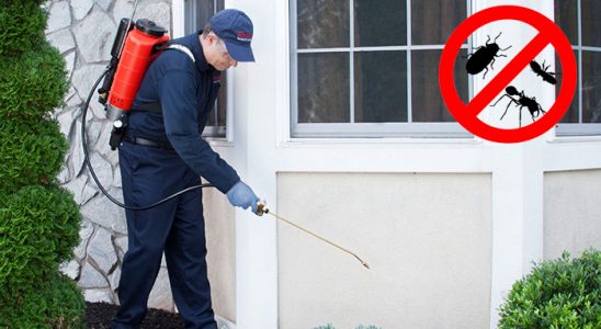 Çukurova Akrep İlaçlama böcek ilaçlama ve haşere kontrolü — ilaclama-tr.com